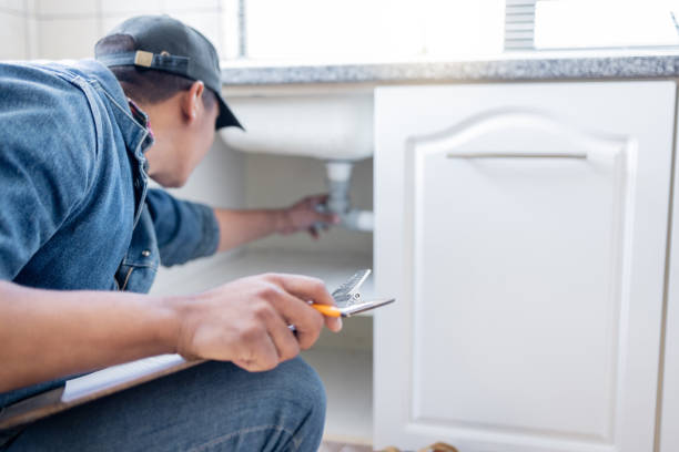 Best Sprinkler Systems  in Mount Dora, FL