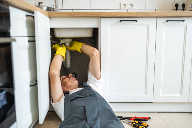 Best Best Plumbers Near Me  in Mount Dora, FL