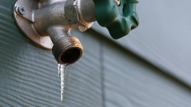 Best Pipe Repair Near Me  in Mount Dora, FL